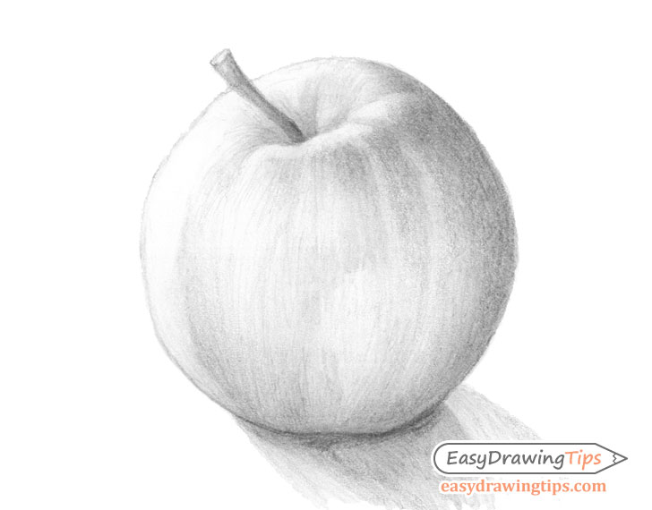 How to Draw an Apple Tutorial Step by Step EasyDrawingTips