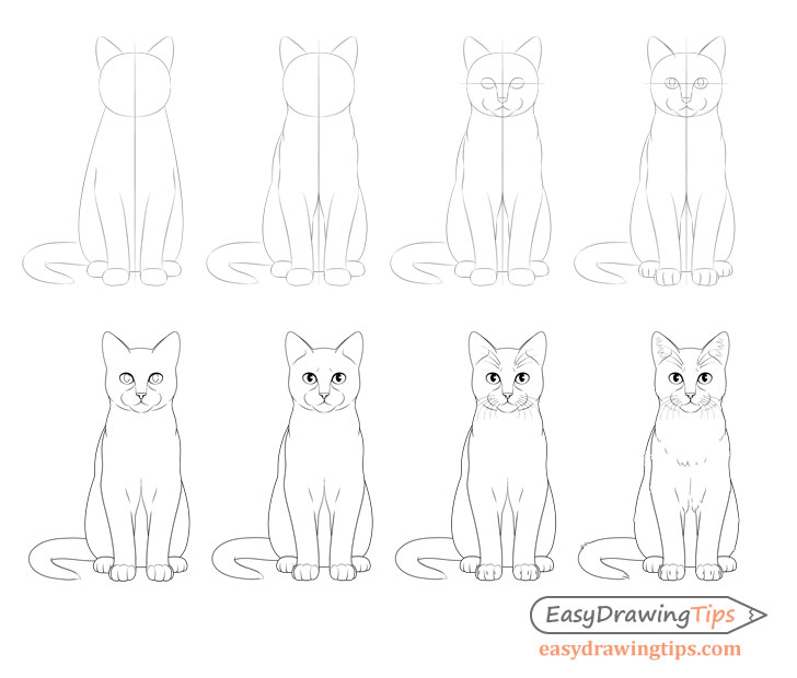 how to draw a cat step by step realistic