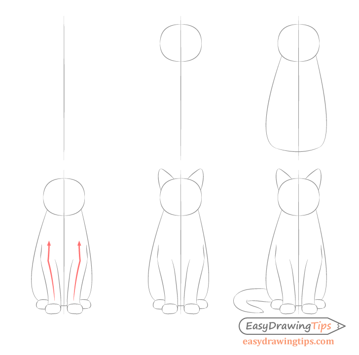 How to Draw a Cat Step by Step From Front View - EasyDrawingTips
