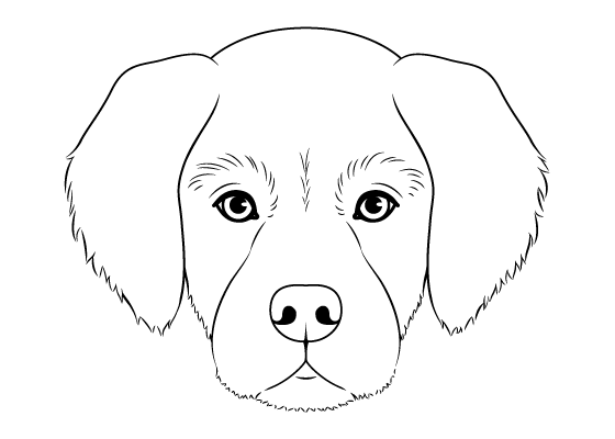 Featured image of post Draw So Cute Animals Dog : Learn how to draw a cute puppy dog easy, step by step drawing lesson tutorial.