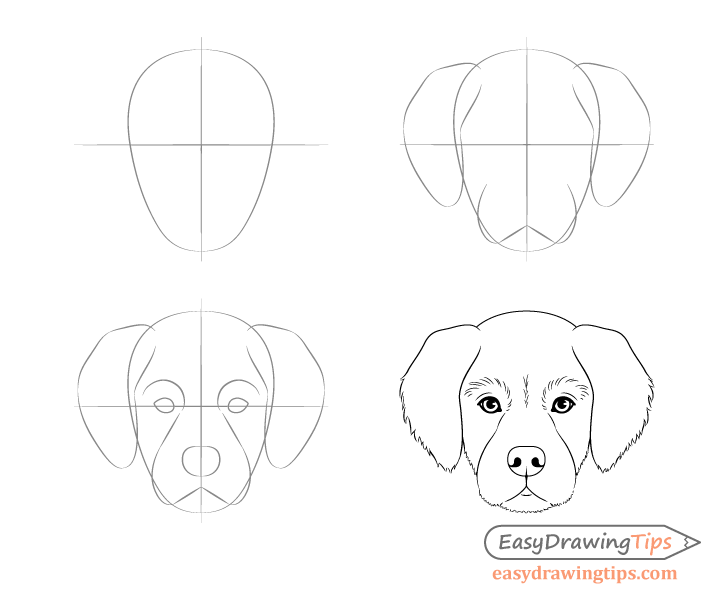 Dog Head Front View Drawing Step by Step EasyDrawingTips — Naive Pets