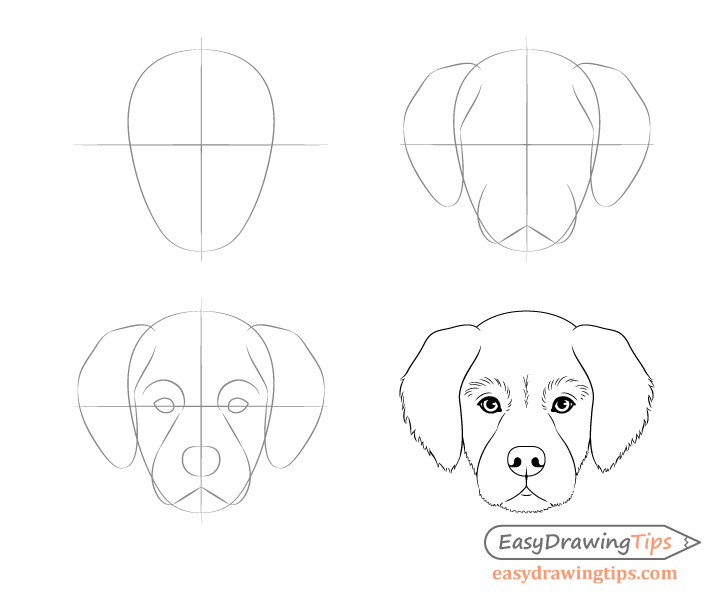 Dog Head Front View Drawing Step By Step EasyDrawingTips