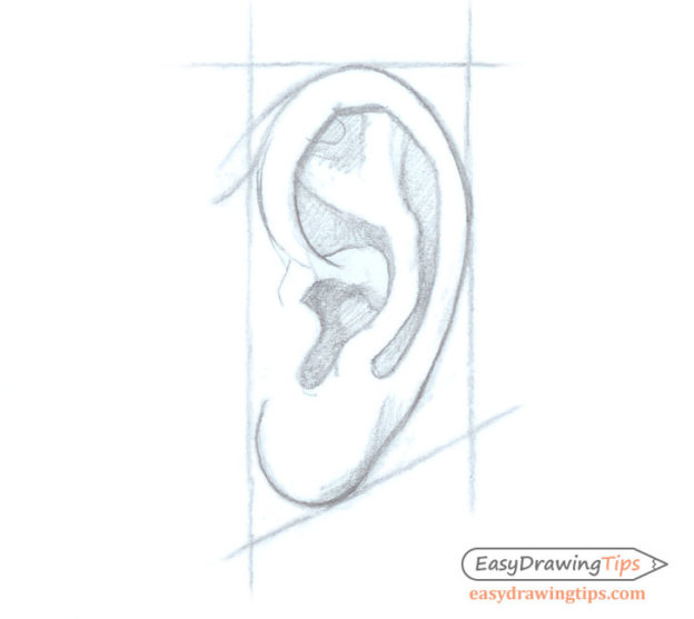 How to Draw an Ear Step by Step - Side View