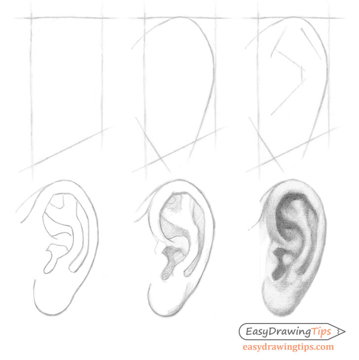 8 Easy Steps To Draw Realistic EARS - Unique Art Blogs