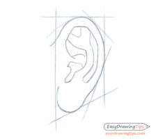 How to Draw an Ear Step by Step - Side View