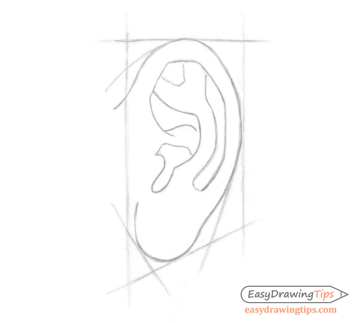 ear drawing front view
