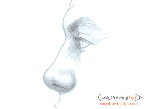3 Step Nose Side View Drawing Tutorial - EasyDrawingTips