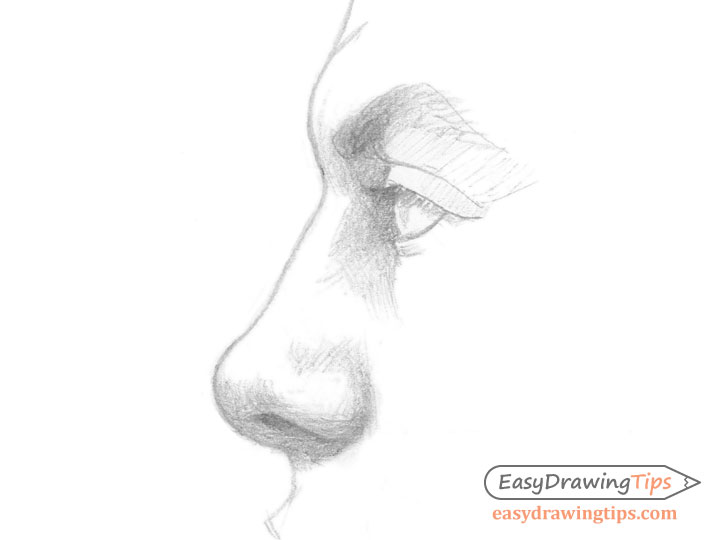 Academic Drawing  Handdrawn Sepate Male Nose Stock Image  Image of sketch  artistic 208744111