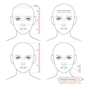 face proportions female drawing