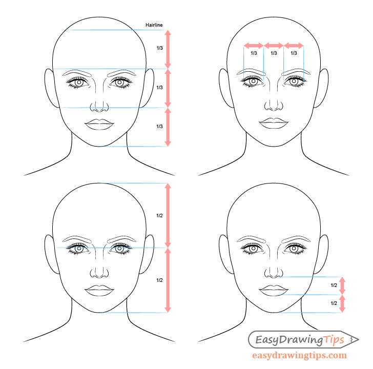 How to Draw a Face  Facial Proportions
