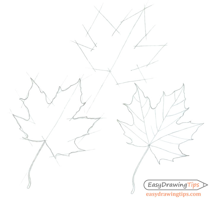 How to draw a maple leaf with a pencil step-by-step tutorial.
