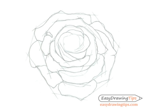 How to Draw a Rose Step by Step Tutorial - EasyDrawingTips