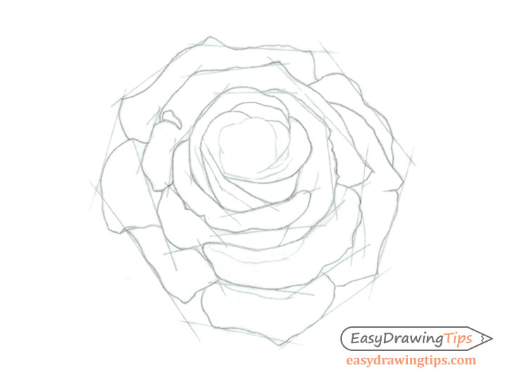 Rose core shape drawing