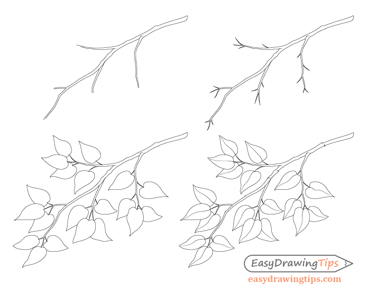 How to Draw a Tree Branch With Leaves EasyDrawingTips