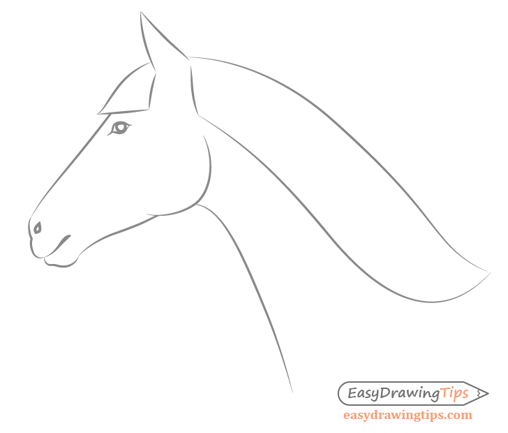 learn how to draw horses with simple techniques: simple steps