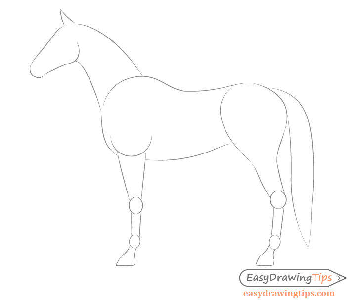how to draw a horse step by step