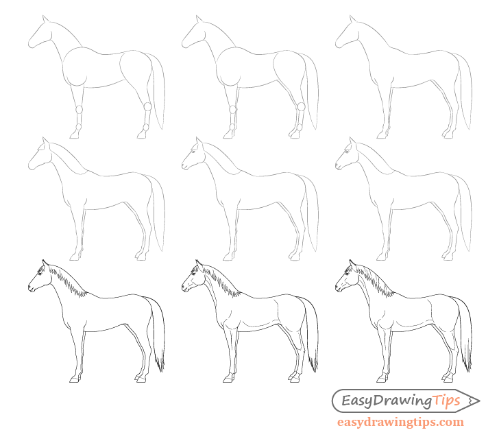 How to draw a horse in 7 simple steps – Paintingcreativity