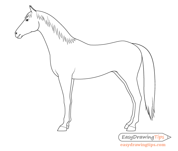 Image of Drawing Of Silhouette Of Horse Lifting Front Two Legs Vector  Outline Editable Illustration-DG297876-Picxy