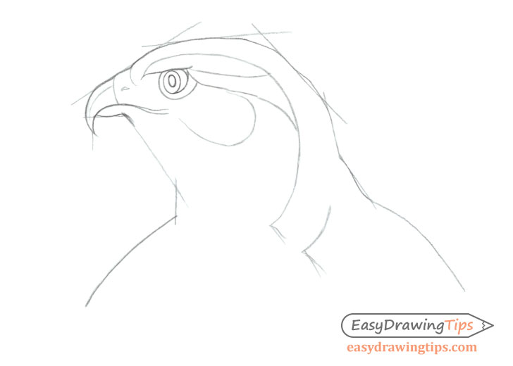 Hawk head shape drawing