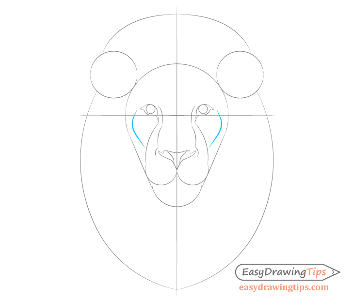 Lion cheeks drawing