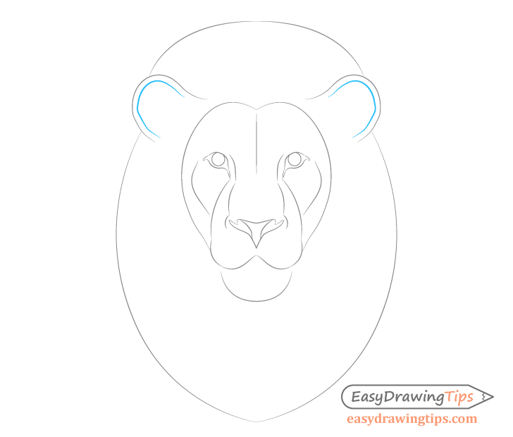 Lion ear details drawing