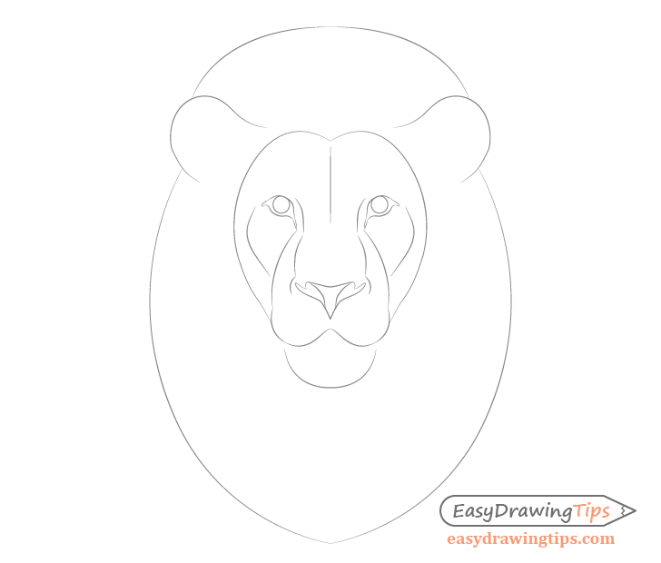 lion simple drawing