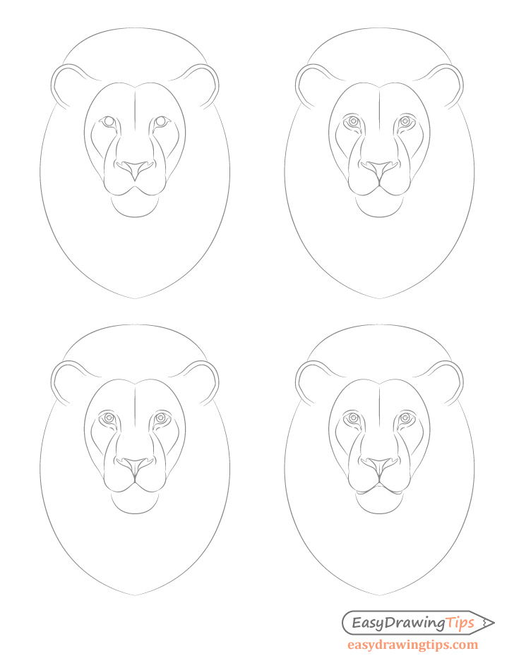 Lion facial feature details drawing step by step