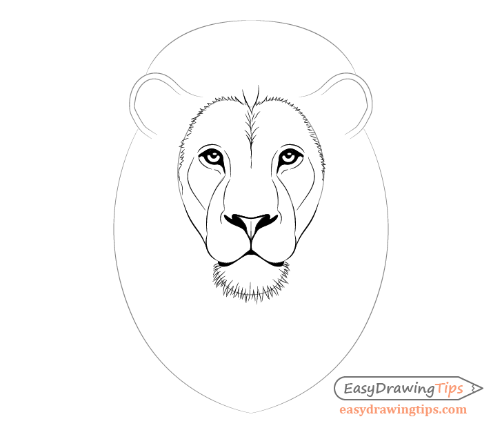 how to draw a lioness head