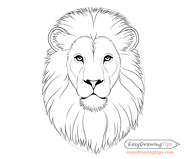 How to Draw Lion Face & Head Step by Step EasyDrawingTips