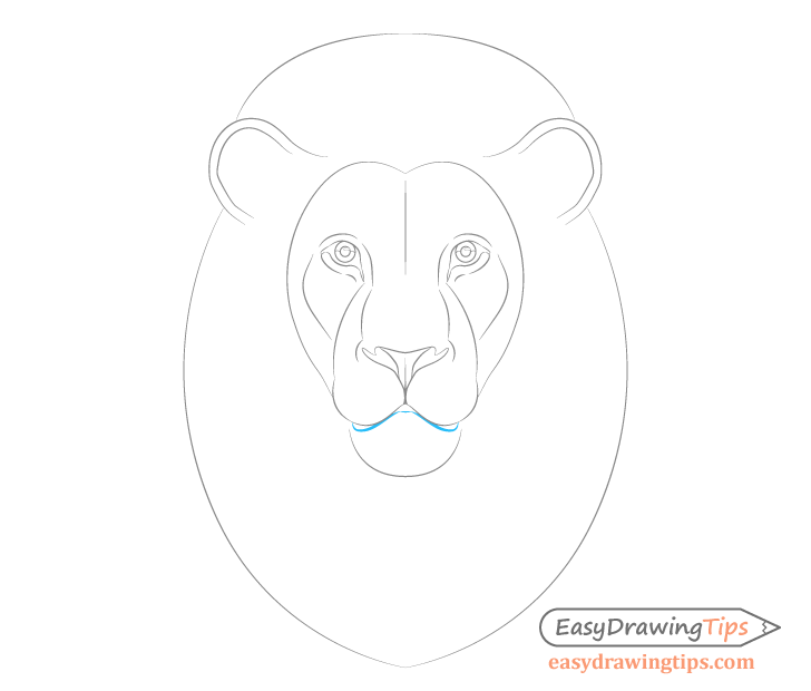 Lion mouth details drawing