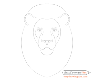 How to Draw Lion Face & Head Step by Step - EasyDrawingTips