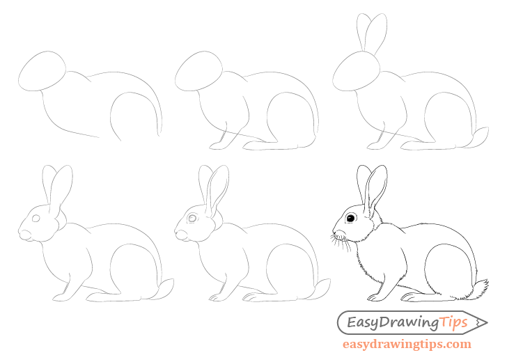 How to draw a rabbit (bunny) easily [Tutorials for beginners]
