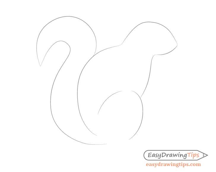 Squirrel tail drawing side view