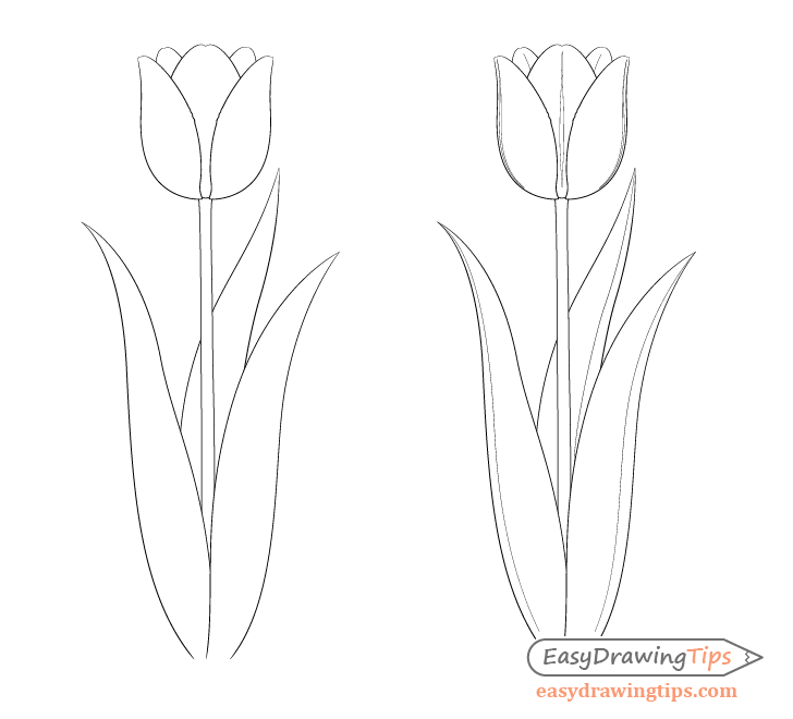 Easy Tulip Drawing Step by Step EasyDrawingTips