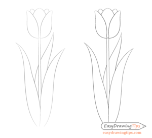 Easy Tulip Drawing Step by Step - EasyDrawingTips