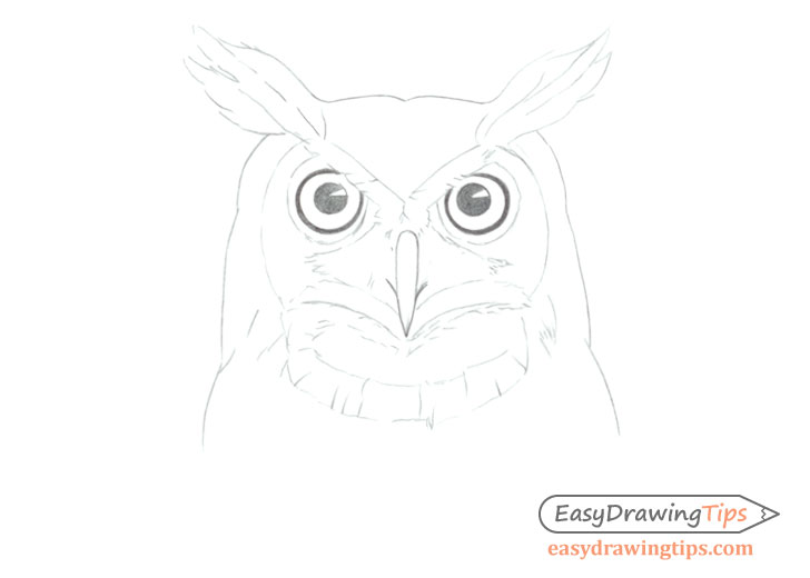 Owl face line drawing