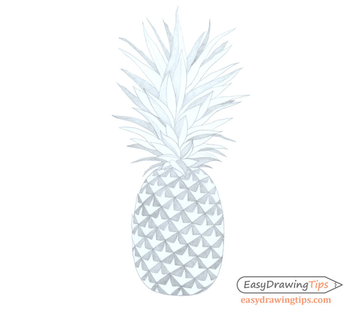Pineapple drawing basic shading