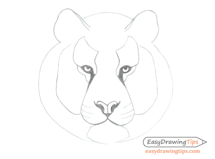 Tiger Face Drawing  Drawing Skill
