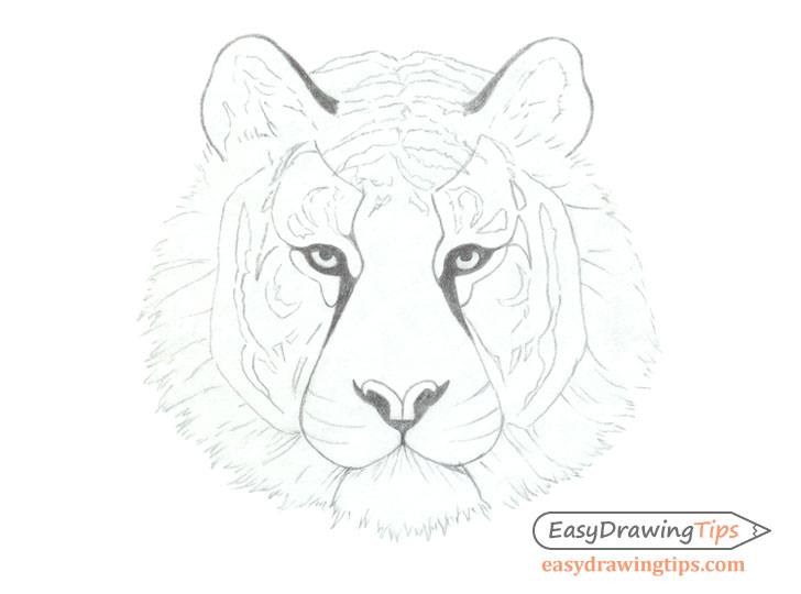 tiger face outline drawing