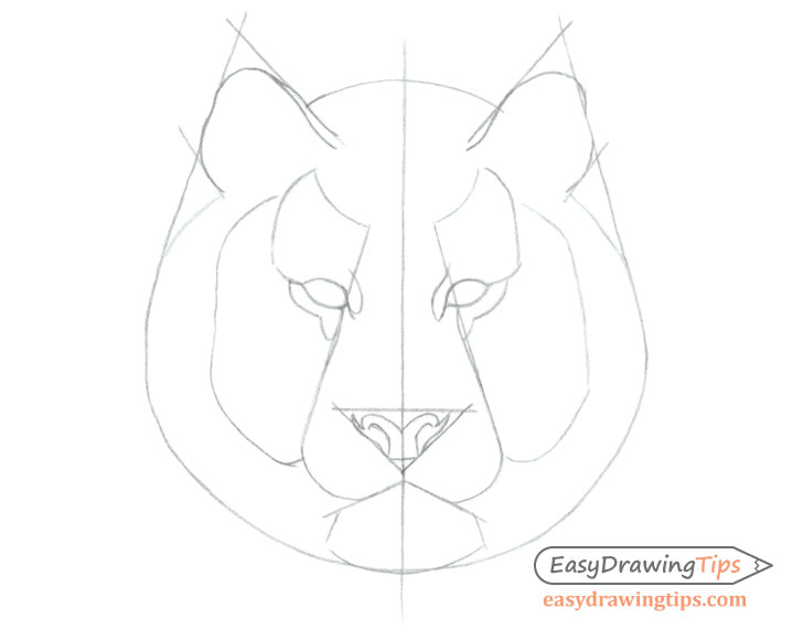 Update 85+ tiger sketch outline best - in.eteachers