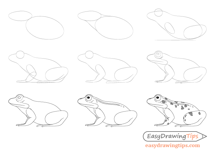Frog drawing step by step