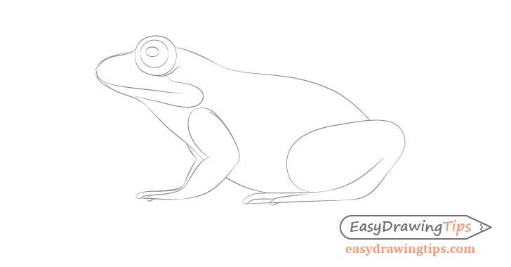 how to draw a tree frog step by step
