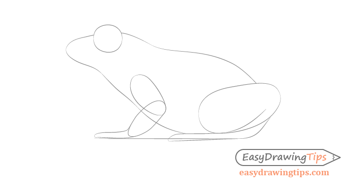 images of frog line drawing