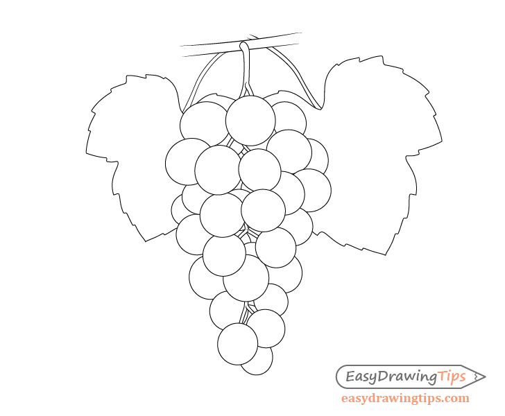 Bunch of grapes hand drawn sketch icon Royalty Free Vector