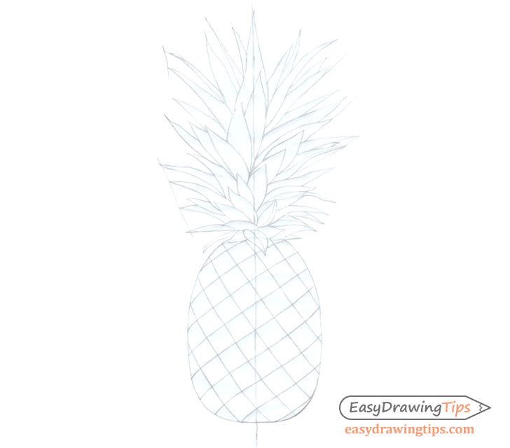 Pineapple basic line drawing