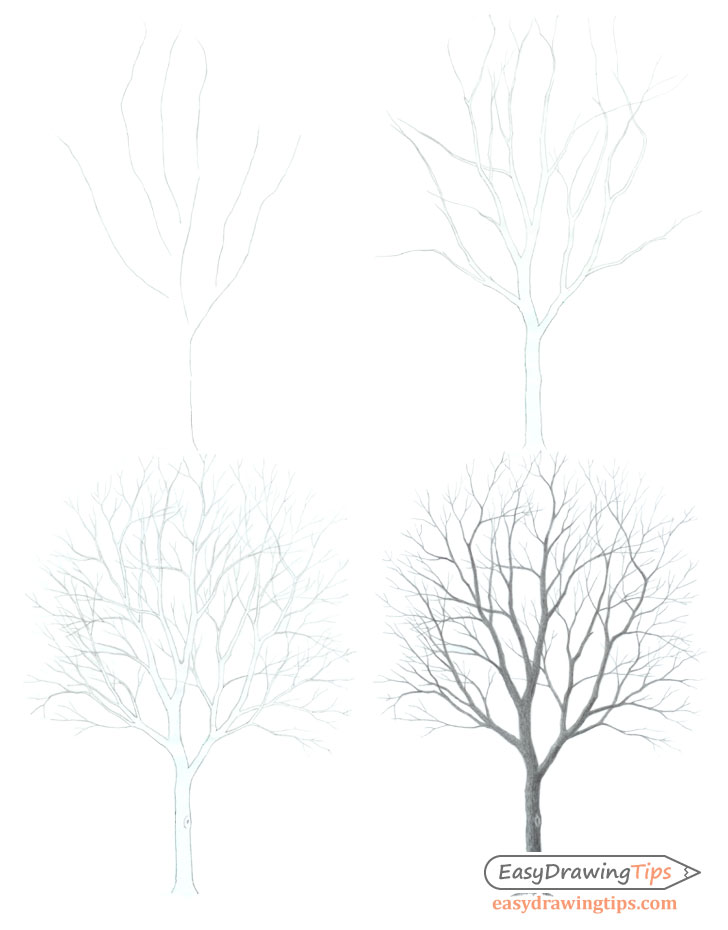 How To Draw A Tree - Happy Family Art | Tree drawing simple, Tree drawing,  Trees art drawing