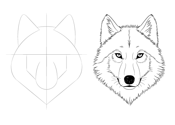Small Wolf Portrait Animal Art Print Pen Ink Drawing Unframed - Etsy
