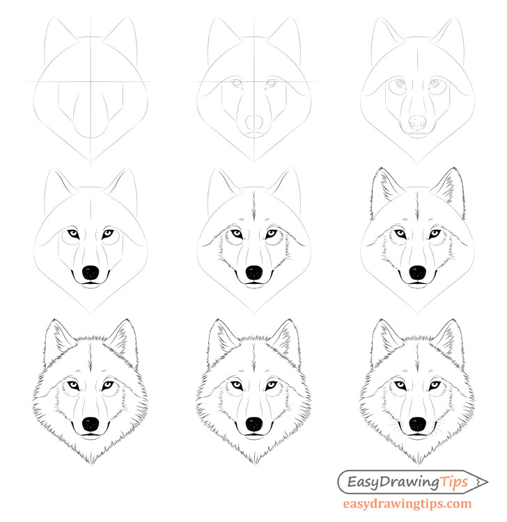 wolf drawings to trace