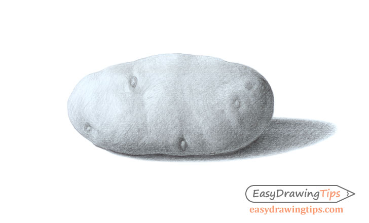 Simple and realistic sweet potato line drawing Stock Illustration | Adobe  Stock
