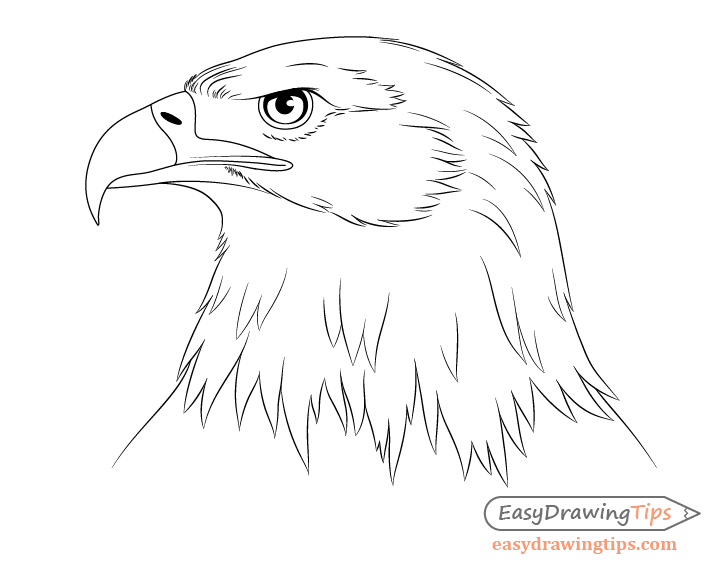 a black and white drawing of an eagle